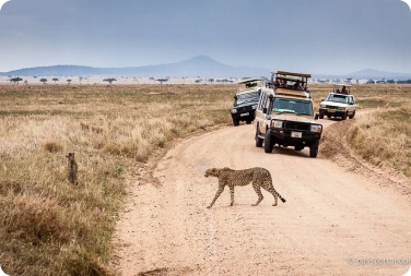 Sarajevo Hotel (Bosnia)