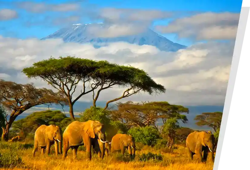 Frequently Asked Questions for Umrah