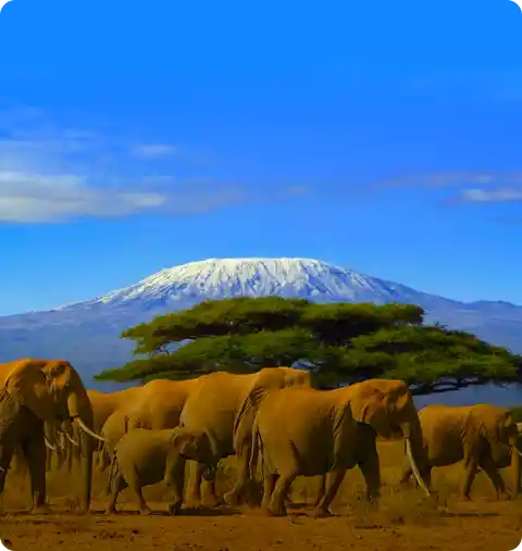 Tanzania Holidays