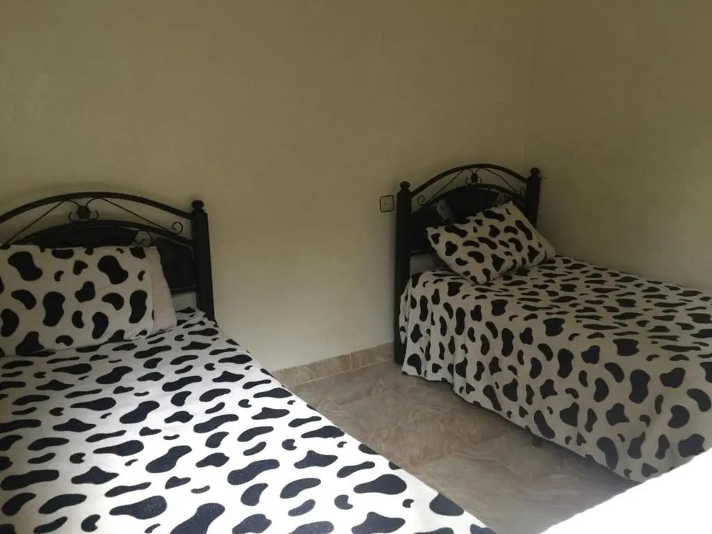 Riad Jddi | Traditional Moroccan Riad Experience & Deals