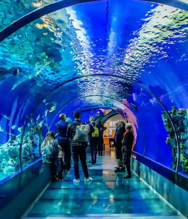 Shop at the Grand Bazaar