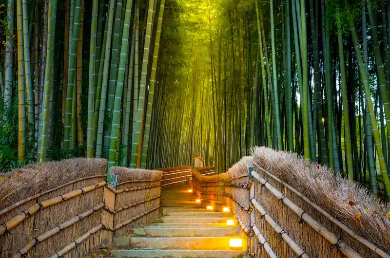 Arashiyama Bamboo Grove