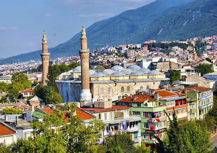 Bursa