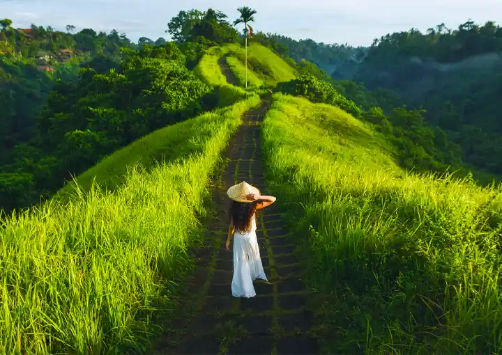 Campuhan Ridge Walk