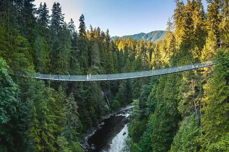 Capilano Suspension Bridge Park