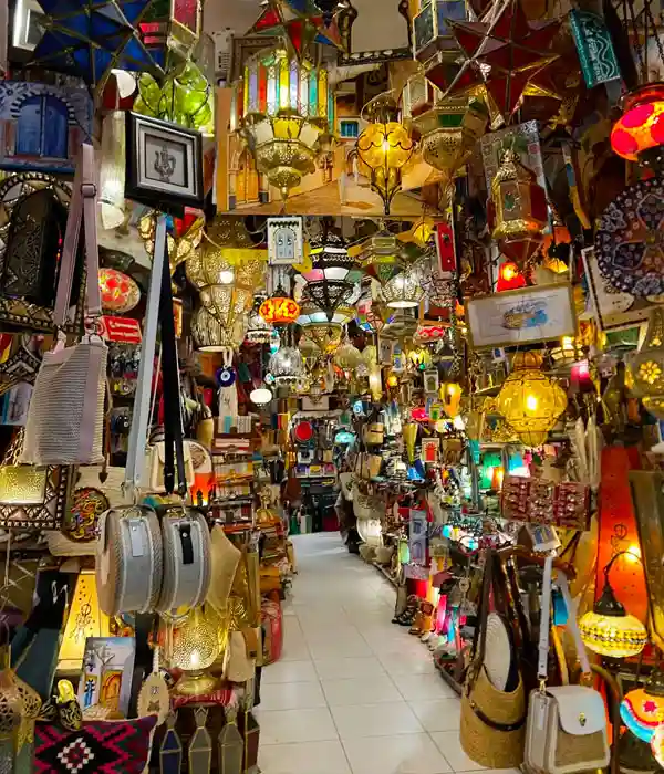 Visit the Famous Dubai Mall