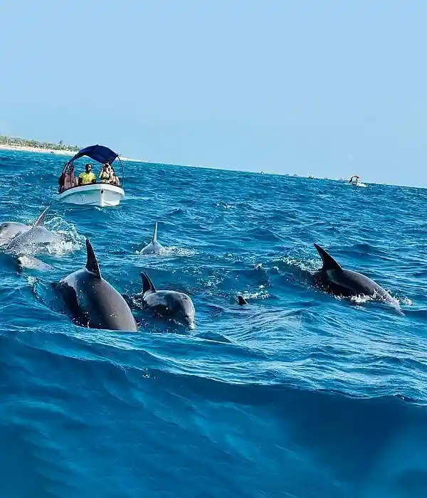 Relax on the Stunning Beaches of Zanzibar