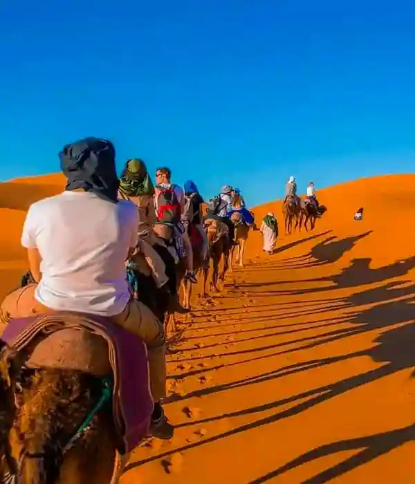 Shop in Traditional Moroccan Souks