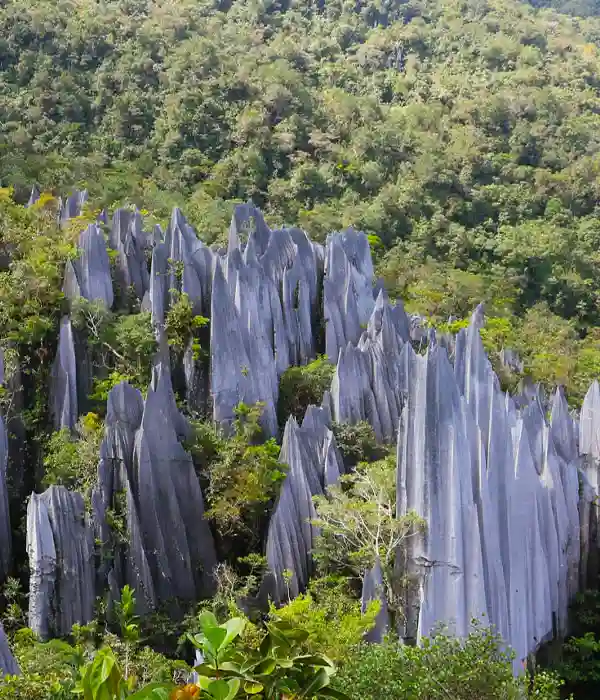 Go to Local Mosques in Each City