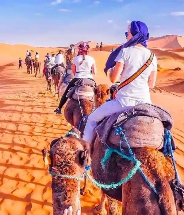 Experience the Rich History of Fes