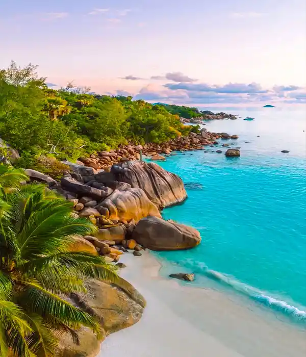 Enjoy Relaxing Beach Time