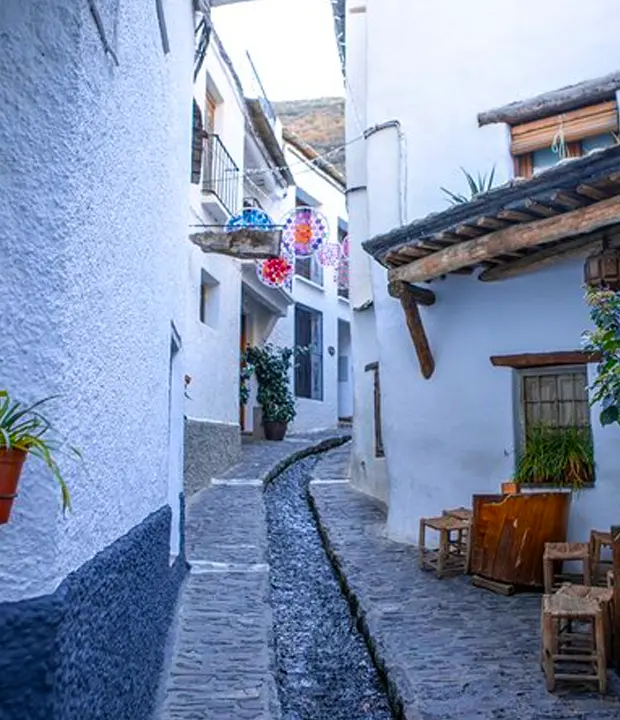 Discover Islamic Art in Museums