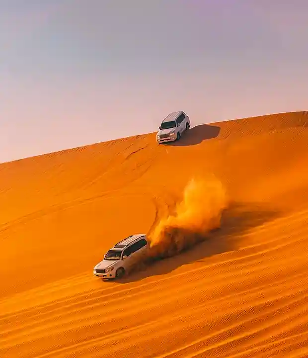 Experience Desert Adventure Activities