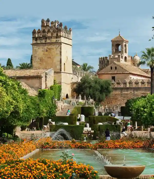 Enjoy Authentic Halal Spanish Cuisine