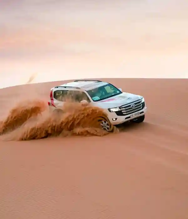 Enjoy a Traditional Dhow Cruise