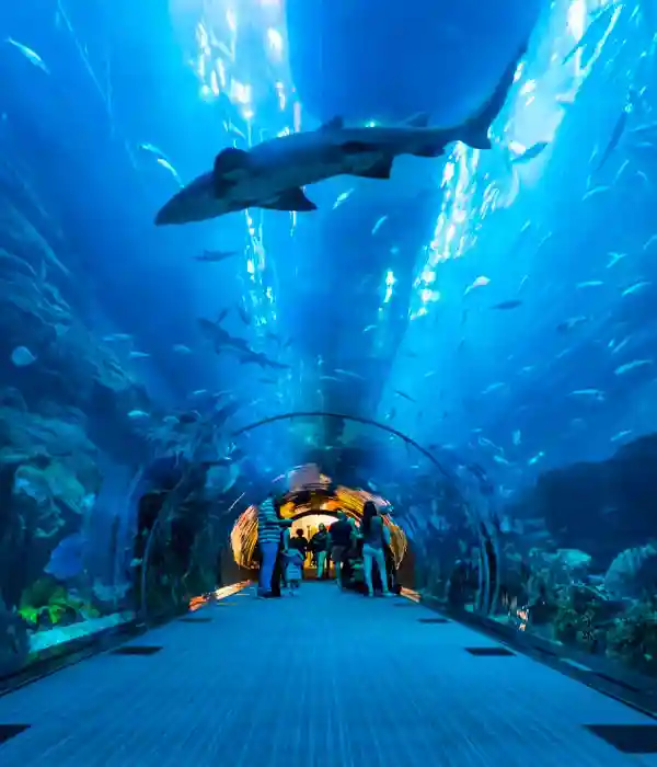 Ascend the Mighty Burj Khalifa