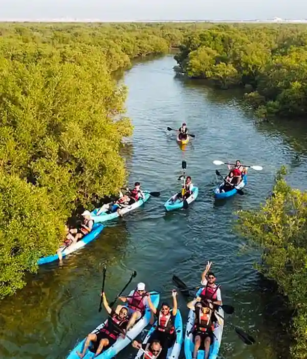 Visit Traditional Date Farms