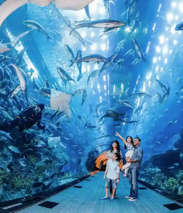 Enjoy a Desert Safari in Sharjah Desert