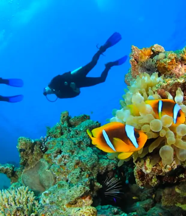 Take a Sunset Dhoni Cruise