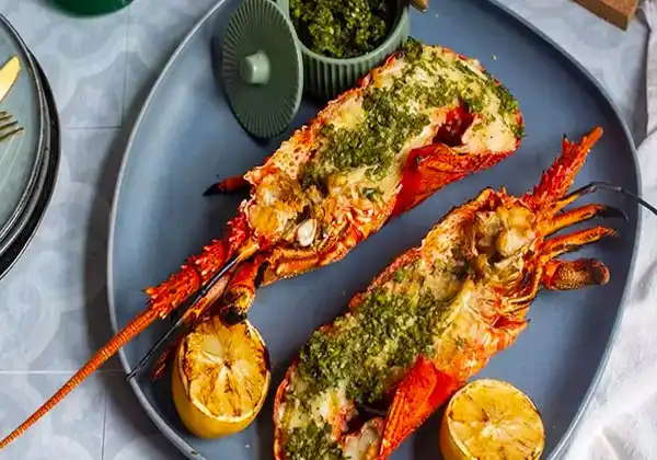 Grilled Lobster