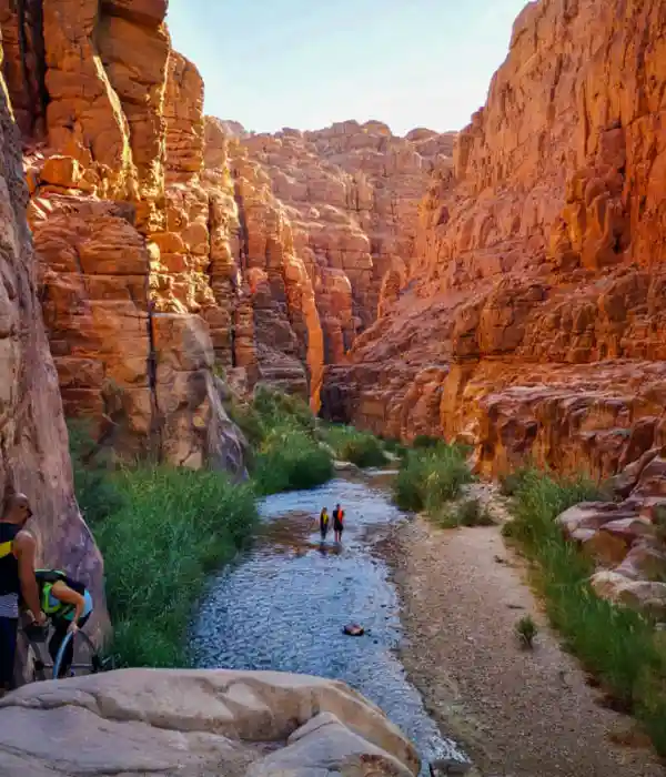 Float in the Dead Sea