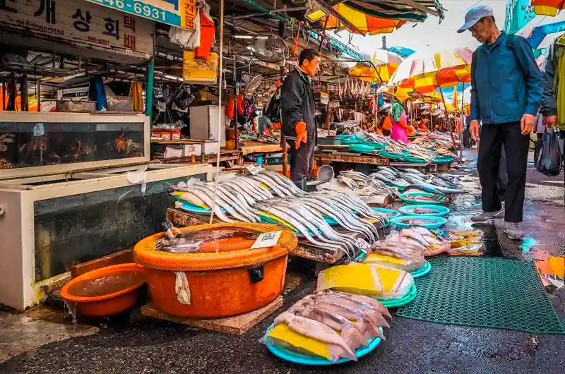 Jagalchi Fish Market