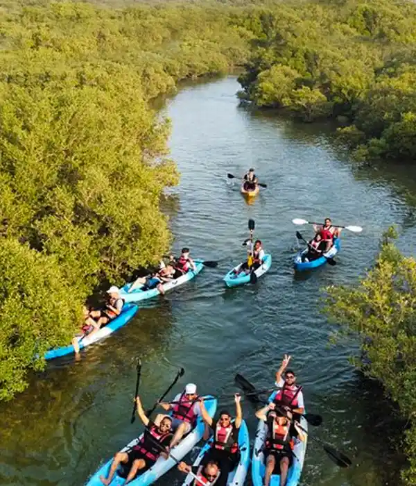 Go to an Organic Farm