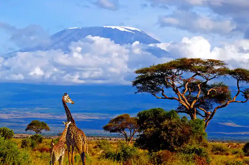Mount Kilimanjaro