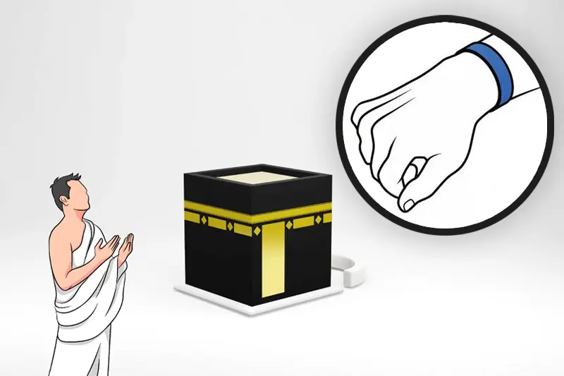 Multilingual Guidance and Support