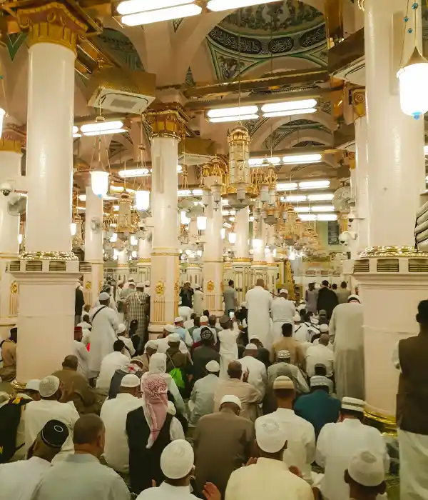 Shop in Modern Malls