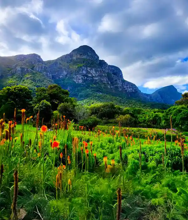 Go to the World of Birds Wildlife Sanctuary