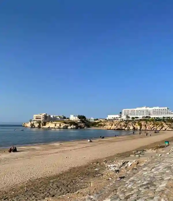 Enjoy a Thrilling Desert Safari