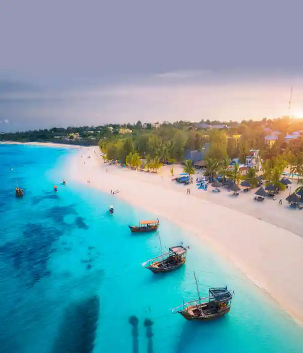 Relax on the Stunning Beaches of Zanzibar