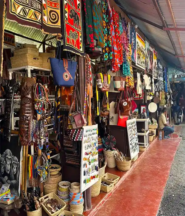 Explore Wildlife in Ngorongoro Crater