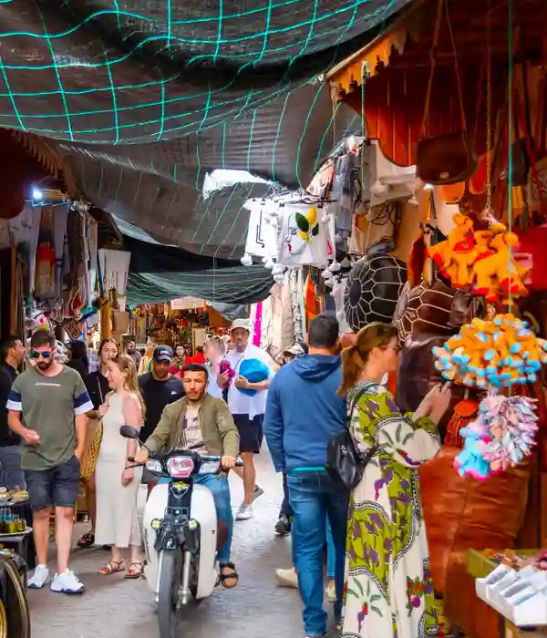 Taste Delicious Moroccan Halal Cuisine