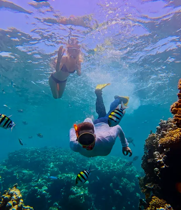 Visit the Citadel and Mosques of Cairo