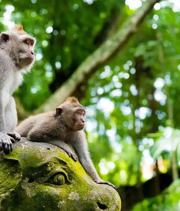 Visit Uluwatu Temple for Sunset Views