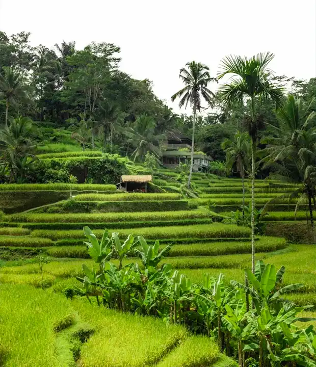 Visit the Sacred Istiqlal Mosque, Jakarta