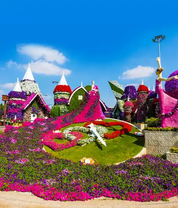 Experience a Desert Safari