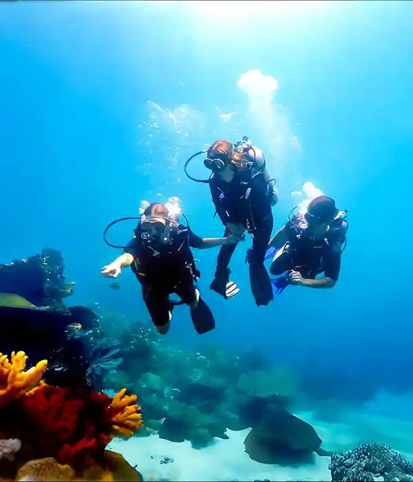 Attend a Halal-Friendly Festival