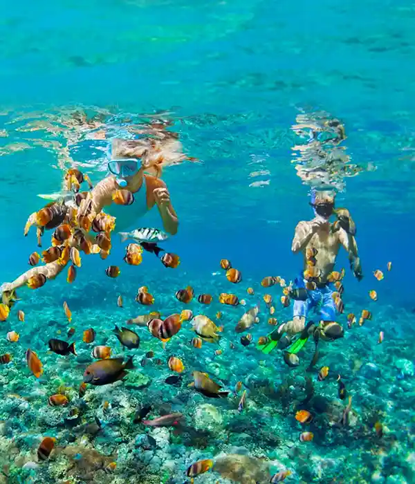 Enjoy Dolphin Watching in Kizimkazi