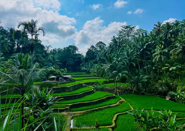 Ubud