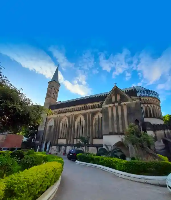 Walk Through the Jozani Forest