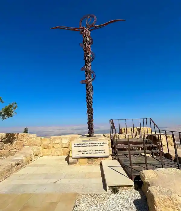 Swim at Berenice Beach Club