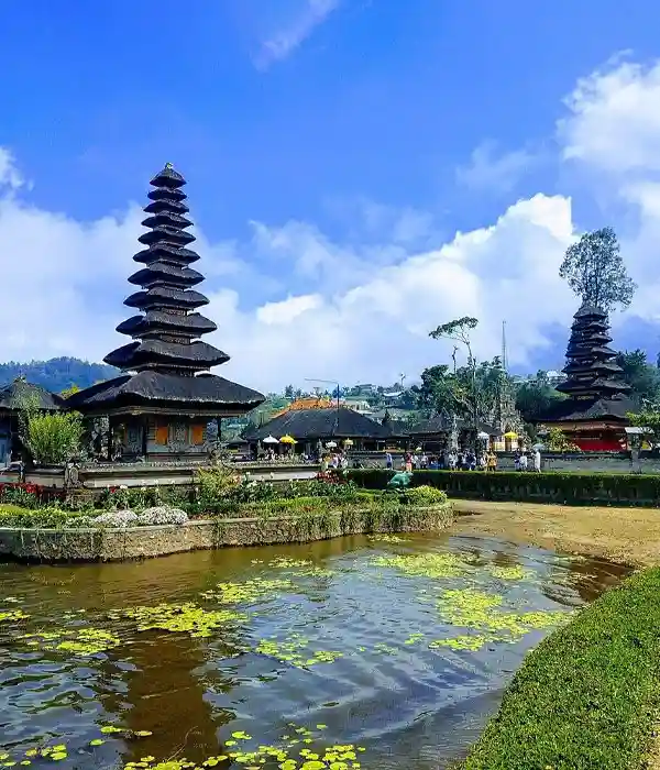 See Tegalalang Rice Terraces