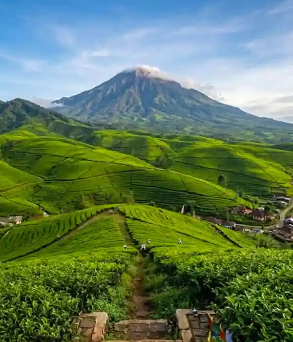 Visit waterfalls in Bandung