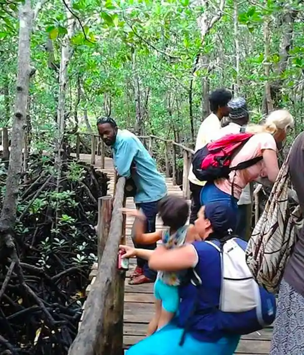 Head to Selous Game Reserve