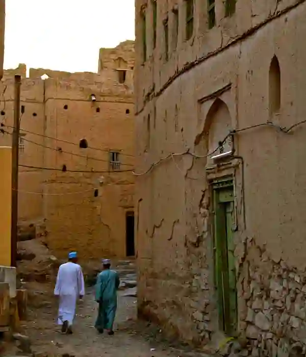 Go Kayaking in Coastal Mangroves