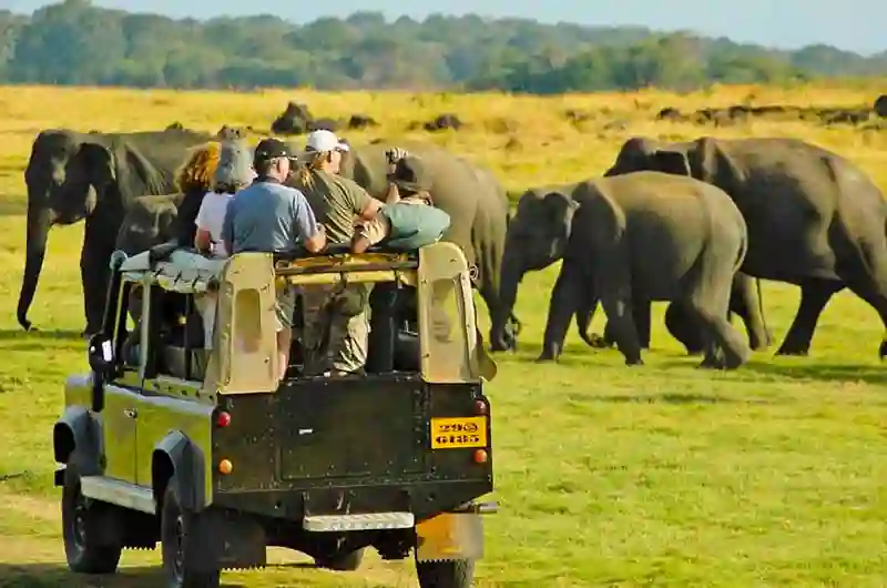 Yala National Park